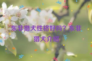 东非猎犬性格好吗？东非猎犬介绍