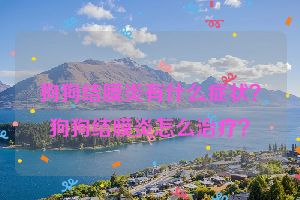 狗狗结膜炎有什么症状？狗狗结膜炎怎么治疗？