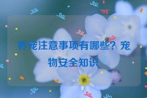 养宠注意事项有哪些？宠物安全知识