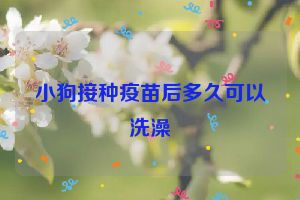 小狗接种疫苗后多久可以洗澡