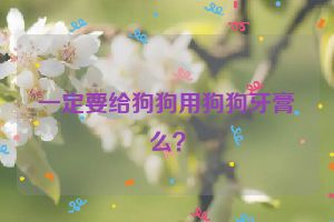 一定要给狗狗用狗狗牙膏么？