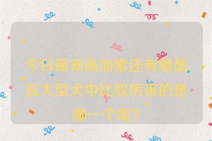 今日萌宠高加索还有藏獒在大型犬中比较厉害的是哪一个呢？