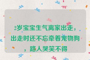 2岁宝宝生气离家出走，出走时还不忘牵着宠物狗，路人哭笑不得