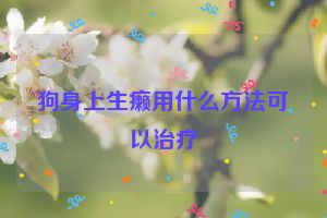 狗身上生癞用什么方法可以治疗