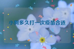 小狗多久打一次疫苗合适