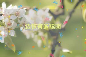 边牧有多聪明