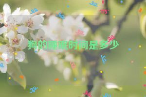 狗的睡眠时间是多少