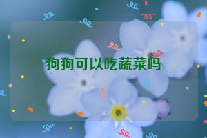 狗狗可以吃蔬菜吗