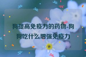 狗提高免疫力的药物-狗狗吃什么增强免疫力