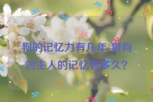 狗的记忆力有几年-狗狗对主人的记忆有多久？