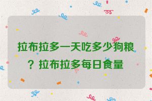 拉布拉多一天吃多少狗粮？拉布拉多每日食量