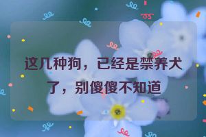 这几种狗，已经是禁养犬了，别傻傻不知道