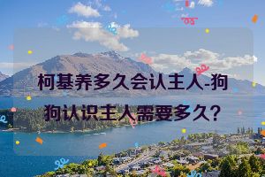 柯基养多久会认主人-狗狗认识主人需要多久？