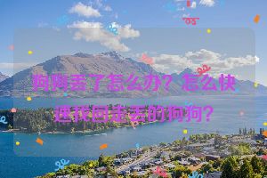 狗狗丢了怎么办？怎么快速找回走丢的狗狗？