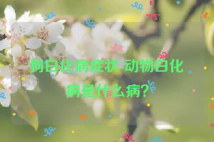 狗白化病症状-动物白化病是什么病？