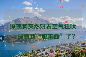 深夜狗突然对着空气狂吠，是看到“脏东西”了？