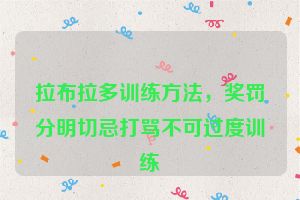 拉布拉多训练方法，奖罚分明切忌打骂不可过度训练