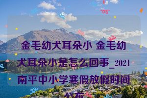 金毛幼犬耳朵小 金毛幼犬耳朵小是怎么回事_2021南平中小学寒假放假时间公布