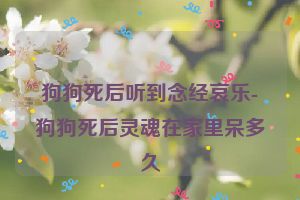 狗狗死后听到念经哀乐-狗狗死后灵魂在家里呆多久