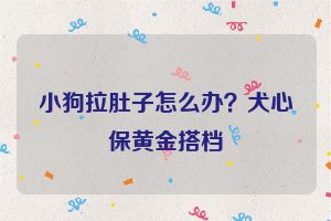 小狗拉肚子怎么办？犬心保黄金搭档