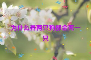 为什么养两只狗都会死一只