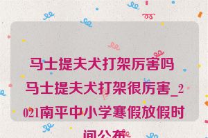 马士提夫犬打架厉害吗 马士提夫犬打架很厉害_2021南平中小学寒假放假时间公布