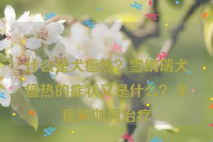 什么是犬瘟热？雪纳瑞犬瘟热的症状又是什么？犬瘟热如何治疗