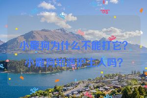 小鹿狗为什么不能打它？小鹿狗知道护主人吗？