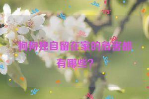 狗狗独自留在家的危害都有哪些？