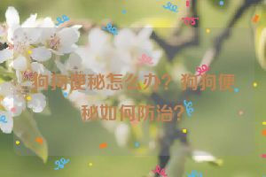 狗狗便秘怎么办？狗狗便秘如何防治？