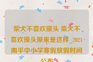 柴犬不喜欢摸头 柴犬不喜欢摸头原来是这样_2021南平中小学寒假放假时间公布