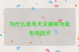 为什么金毛犬又被称为金毛寻回犬