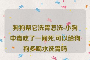 狗狗帮它洗胃怎洗-小狗中毒吃了一闻死,可以给狗狗多喝水洗胃吗