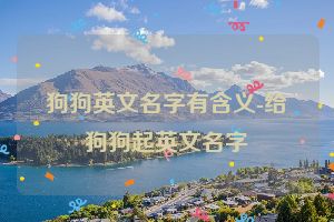 狗狗英文名字有含义-给狗狗起英文名字