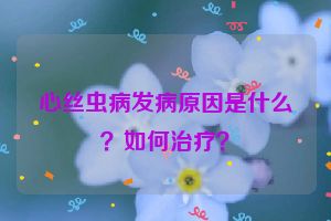 心丝虫病发病原因是什么？如何治疗？