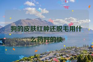 狗的皮肤红肿还脱毛用什么药好的快