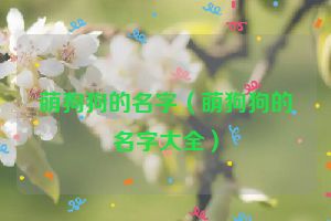 萌狗狗的名字（萌狗狗的名字大全）