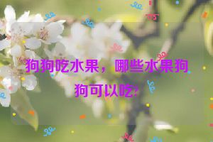 狗狗吃水果，哪些水果狗狗可以吃?