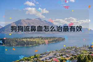 狗狗流鼻血怎么治最有效