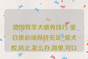 德国牧羊犬喂养技巧 蛋白质必须保持充足_柴犬咬,防止,怎么办,简单,可以