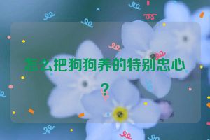 怎么把狗狗养的特别忠心？