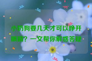 小奶狗要几天才可以睁开眼睛？一文帮你解惑答疑