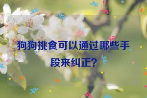 狗狗挑食可以通过哪些手段来纠正？