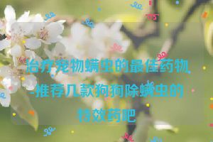 治疗宠物螨虫的最佳药物-推荐几款狗狗除螨虫的特效药吧