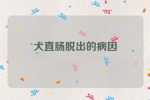 犬直肠脱出的病因