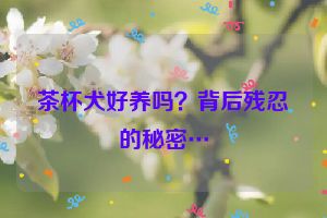 茶杯犬好养吗？背后残忍的秘密…