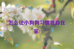 怎么让小狗狗习惯独自在家?