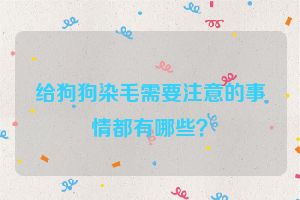 给狗狗染毛需要注意的事情都有哪些？