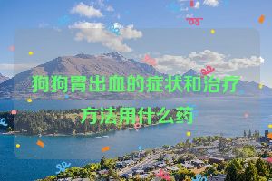 狗狗胃出血的症状和治疗方法用什么药