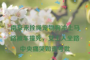 南京未拴绳宠物狗冲上马路被车撞死，女主人坐路中央痛哭如丧考妣